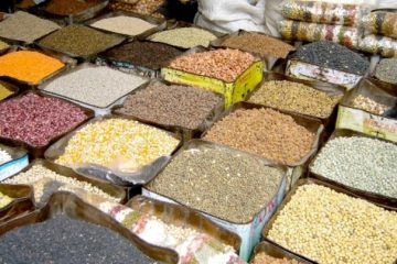 प्रविधिः विकासको मेरुदण्ड