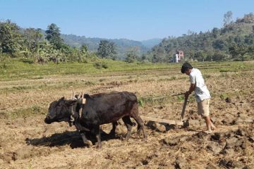 मकवानपुरगढीमा बाँझो जग्गा उपयोगमा ल्याउन २६ कृषक र संस्था छनोट