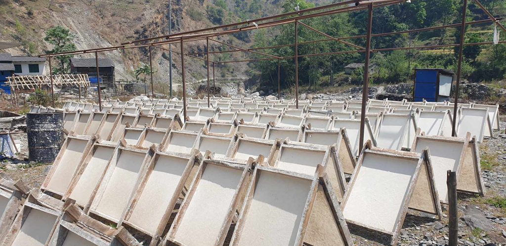 गृहपृष्ठ