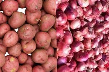 नेपालमा आलु र प्याजको आयातमा उच्च वृद्धि