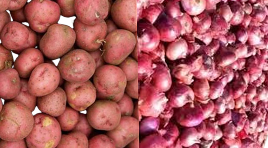 गृहपृष्ठ