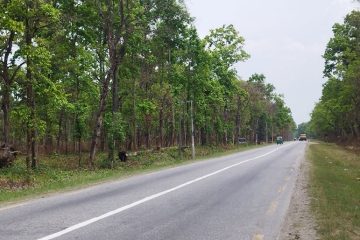 हेटौंडा–नारायणगढ सडक चार लेन विस्तार गरिने, टिकौलीमा फ्लाइओभर
